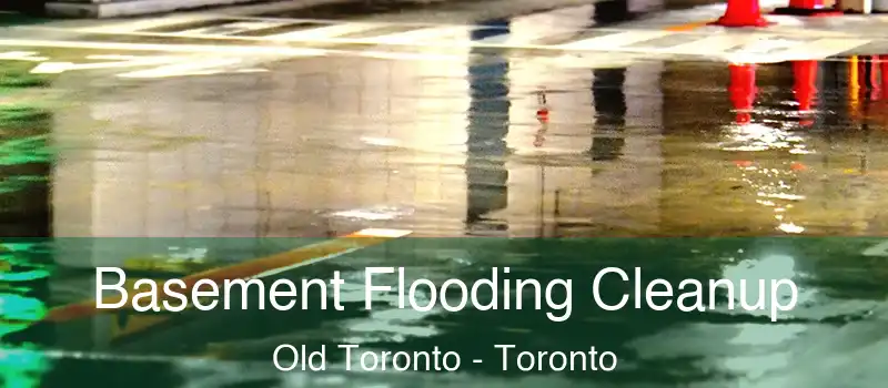  Basement Flooding Cleanup Old Toronto - Toronto