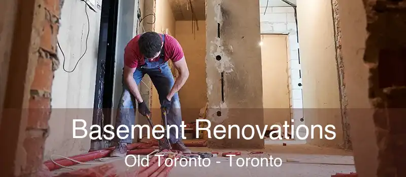  Basement Renovations Old Toronto - Toronto