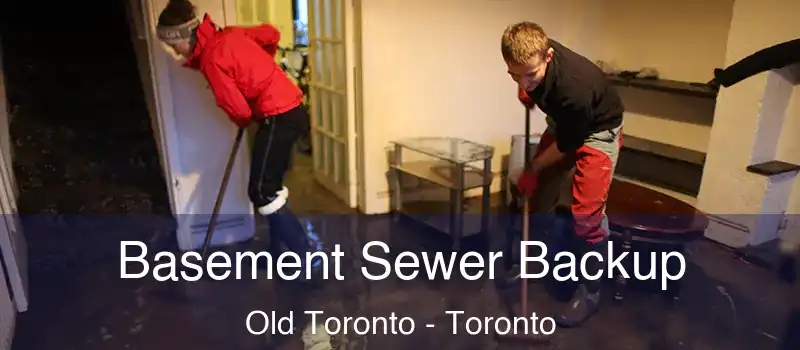  Basement Sewer Backup Old Toronto - Toronto