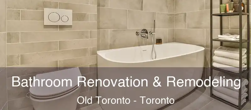  Bathroom Renovation & Remodeling Old Toronto - Toronto