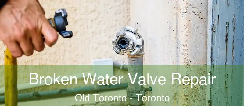  Broken Water Valve Repair Old Toronto - Toronto