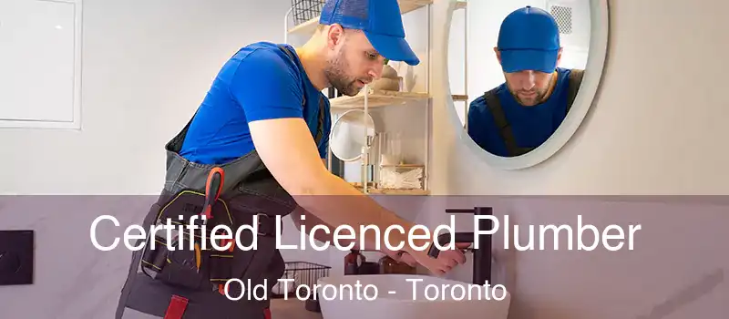  Certified Licenced Plumber Old Toronto - Toronto