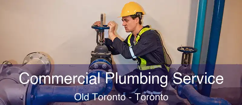  Commercial Plumbing Service Old Toronto - Toronto