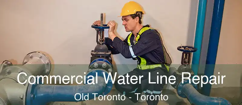  Commercial Water Line Repair Old Toronto - Toronto