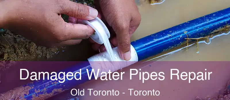  Damaged Water Pipes Repair Old Toronto - Toronto