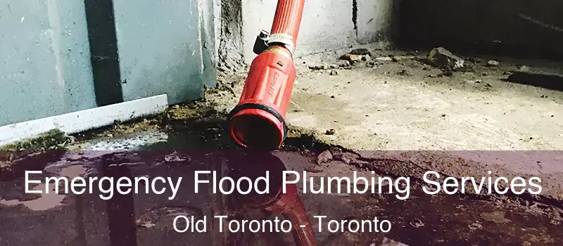  Emergency Flood Plumbing Services Old Toronto - Toronto
