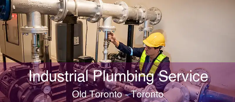  Industrial Plumbing Service Old Toronto - Toronto