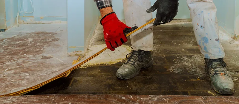 Cost Of Flooded Basement Cleanup in Old Toronto, Toronto