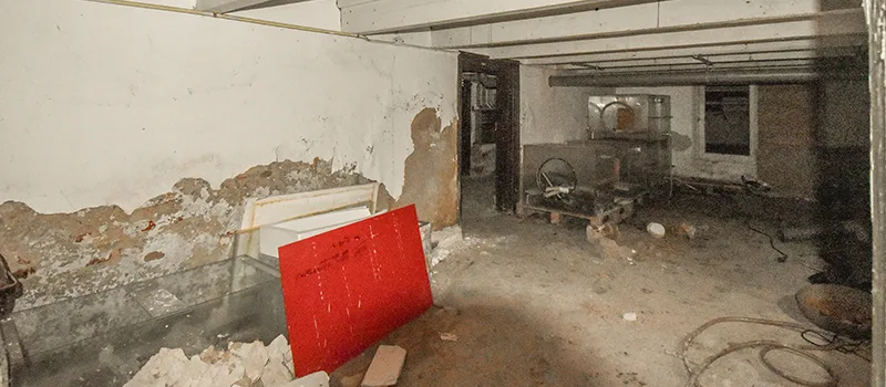 Home Basement Renovation in Old Toronto, Toronto