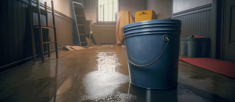 Flooded Basement Restoration Assistance in Old Toronto, Toronto