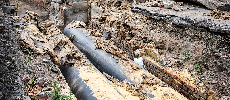 Commercial Sewer Tree Roots Damage Solutions in Old Toronto, Toronto