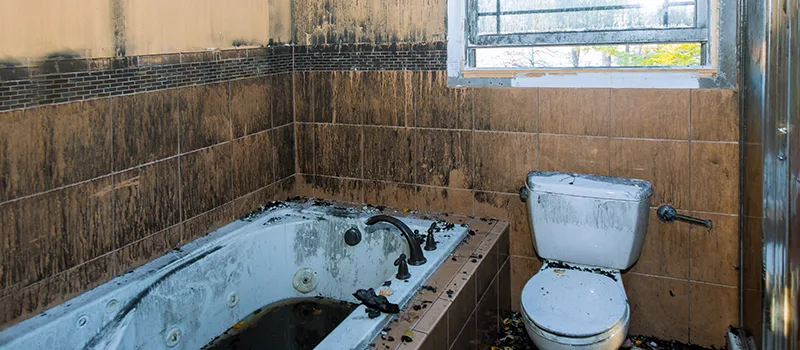 Residential Water Damage Restoration in Old Toronto, Toronto