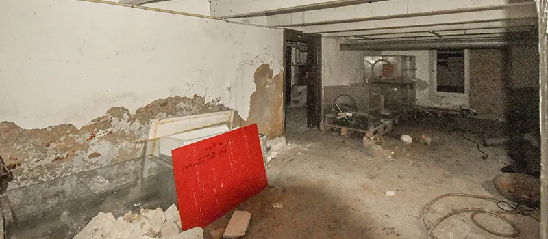 Basement Water Flooding Restoration in Old Toronto, Toronto