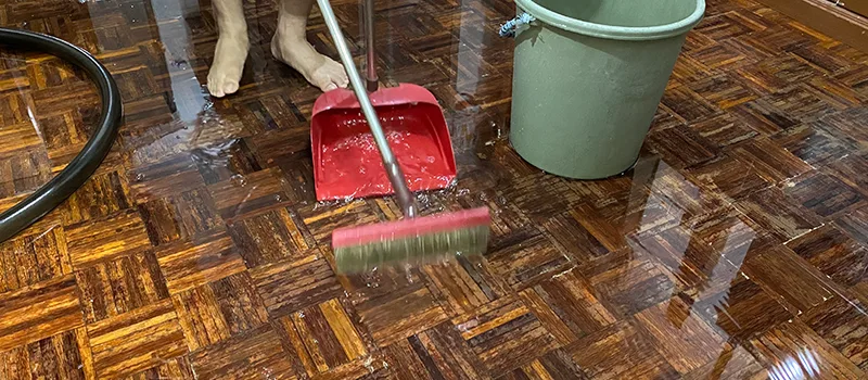 Water Removal And Restoration Services in Old Toronto, Toronto