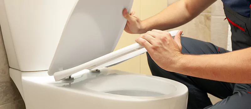 Damaged Toilet Parts Replacement Services in Old Toronto, Toronto