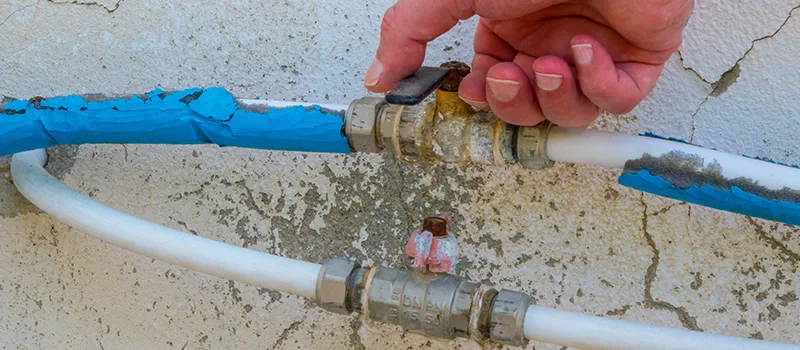 Ceiling Water Damage Repair in Old Toronto, Toronto
