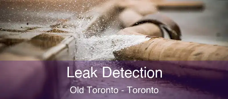  Leak Detection Old Toronto - Toronto