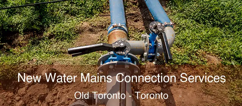  New Water Mains Connection Services Old Toronto - Toronto