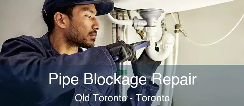  Pipe Blockage Repair Old Toronto - Toronto