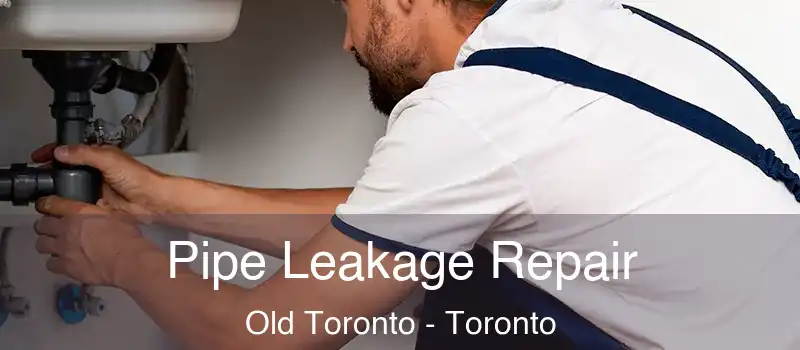  Pipe Leakage Repair Old Toronto - Toronto