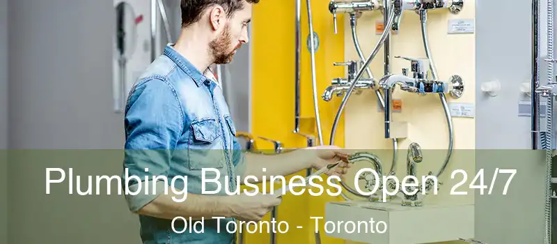  Plumbing Business Open 24/7 Old Toronto - Toronto