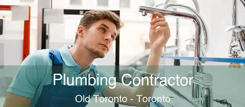  Plumbing Contractor Old Toronto - Toronto