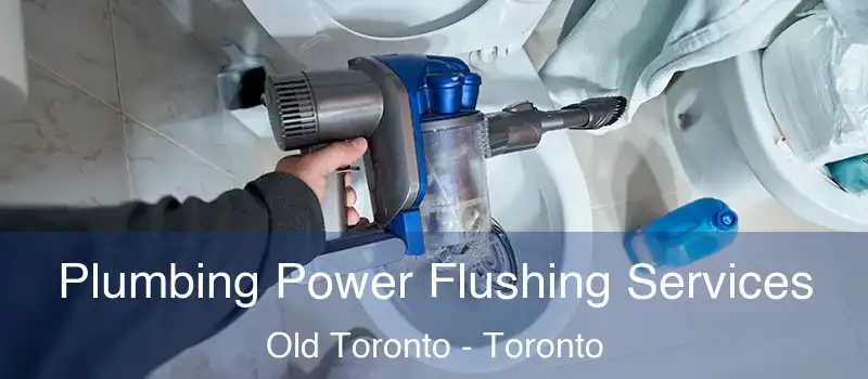  Plumbing Power Flushing Services Old Toronto - Toronto