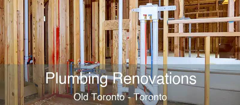  Plumbing Renovations Old Toronto - Toronto