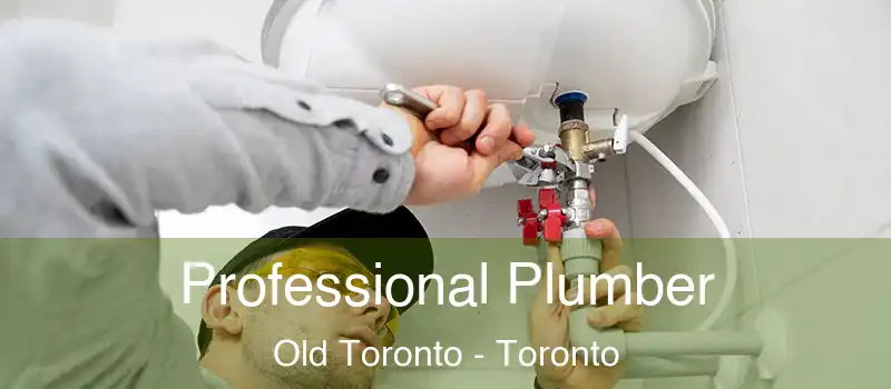  Professional Plumber Old Toronto - Toronto