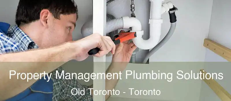  Property Management Plumbing Solutions Old Toronto - Toronto