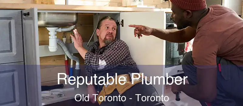  Reputable Plumber Old Toronto - Toronto