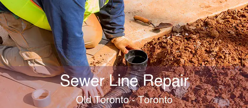  Sewer Line Repair Old Toronto - Toronto