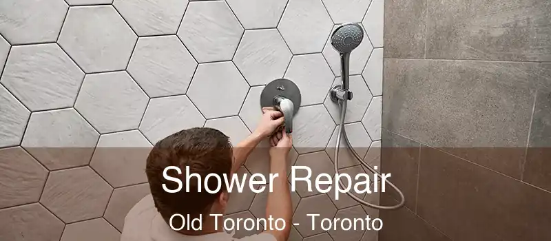 Shower Repair Old Toronto - Toronto