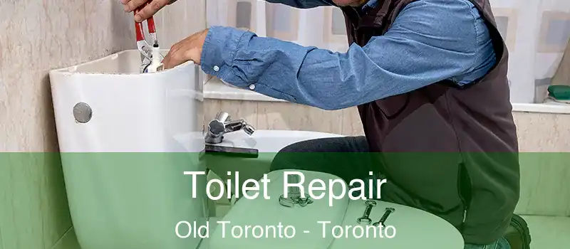  Toilet Repair Old Toronto - Toronto