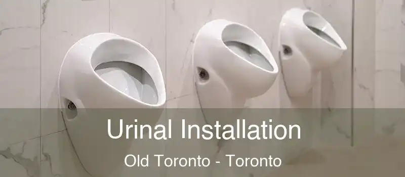  Urinal Installation Old Toronto - Toronto