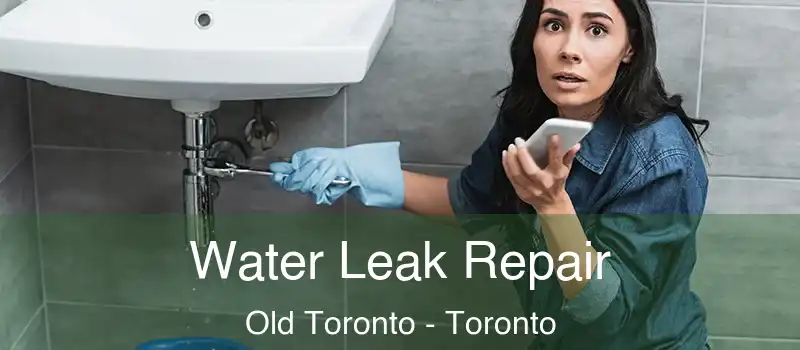  Water Leak Repair Old Toronto - Toronto