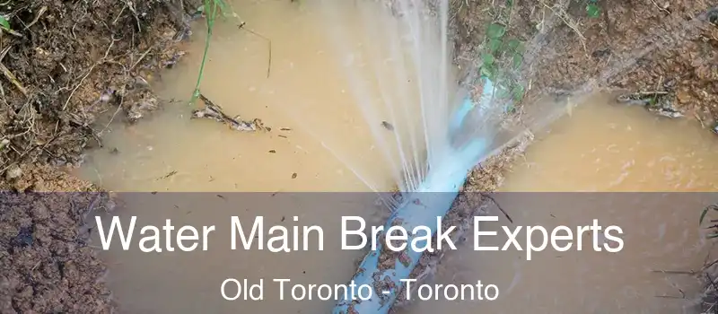  Water Main Break Experts Old Toronto - Toronto