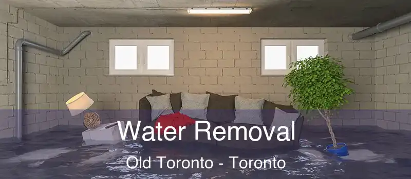  Water Removal Old Toronto - Toronto