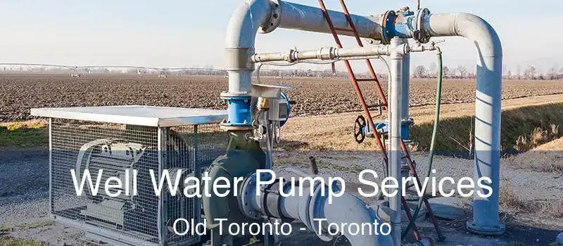  Well Water Pump Services Old Toronto - Toronto